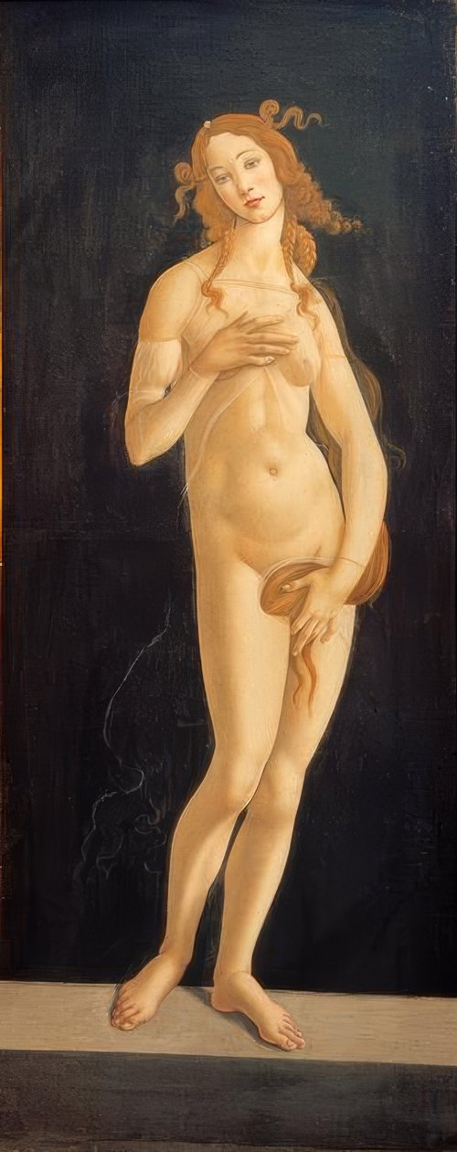 Venus door Sandro Botticelli