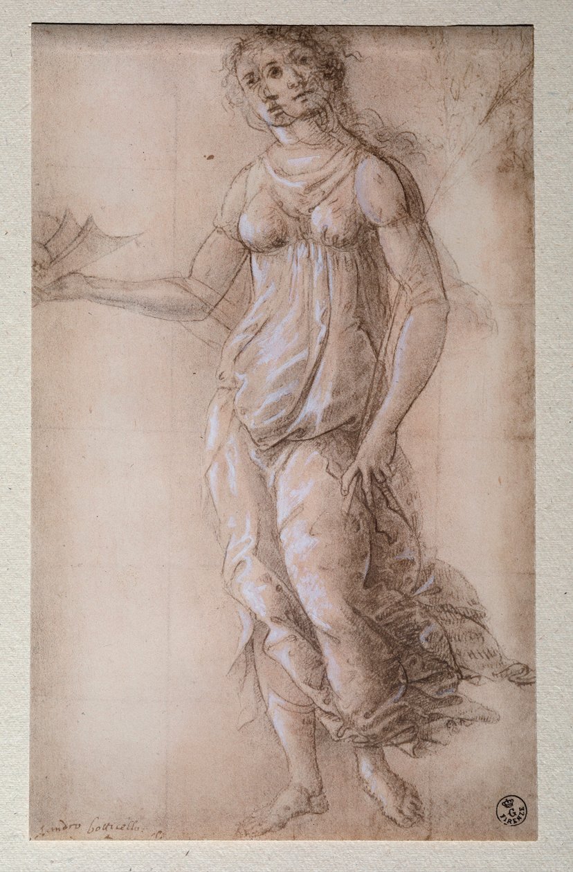 Pallas door Sandro Botticelli