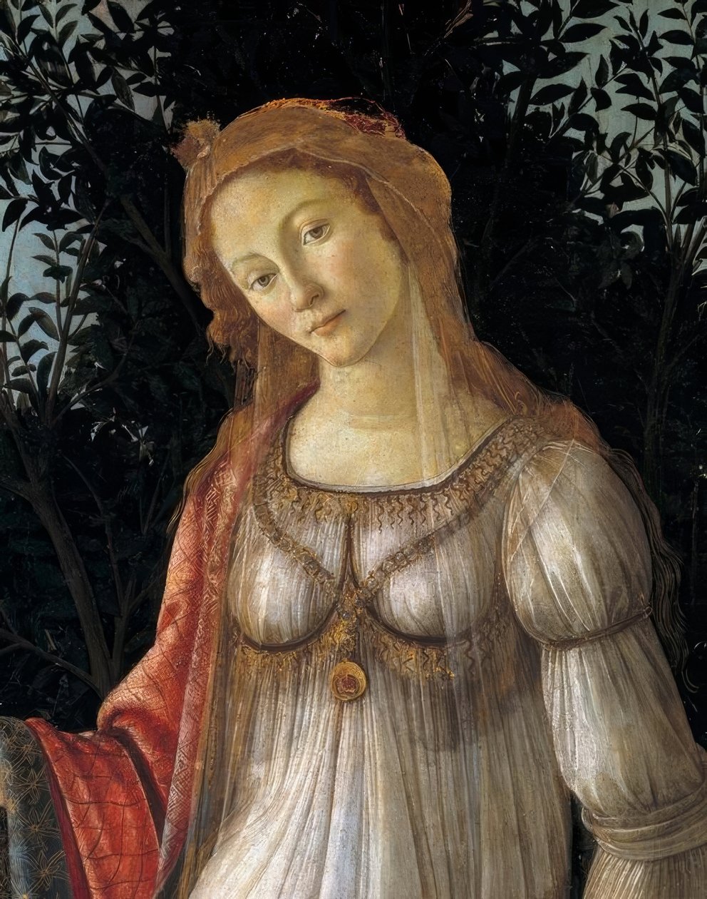 La Primavera door Sandro Botticelli
