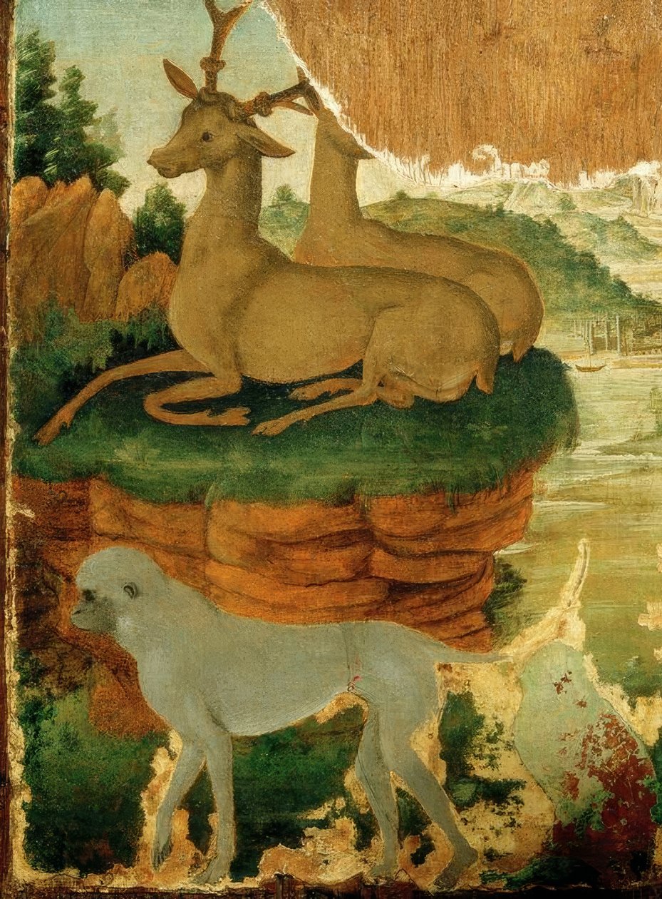 Landschap met reeën en apen door Sandro Botticelli