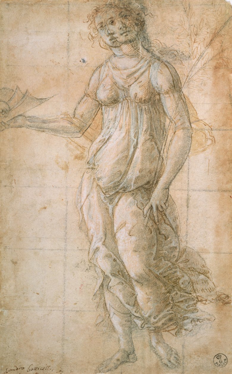 Studie van Athene door Sandro Botticelli