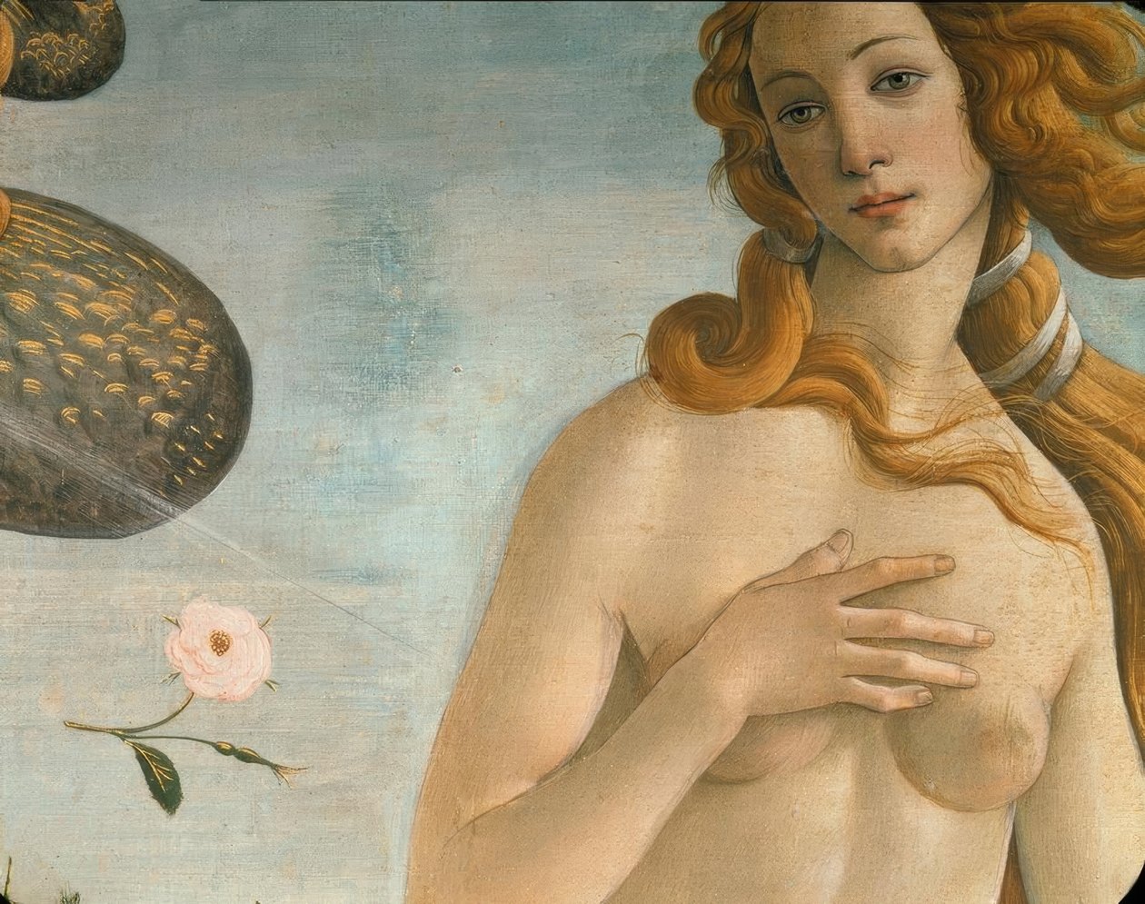 De geboorte van Venus (Venus Anadyomene) door Sandro Botticelli