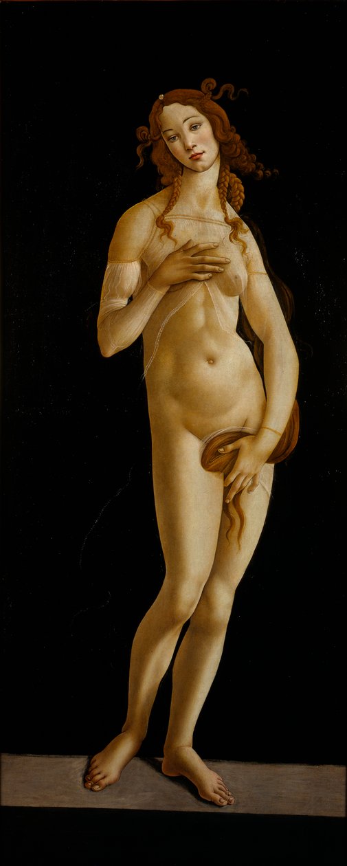 Venus Pudica door Sandro Botticelli