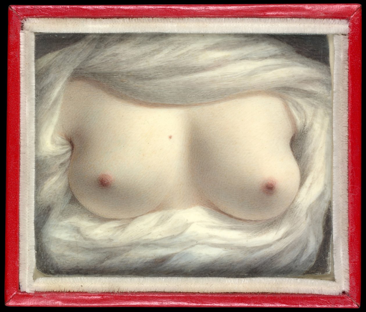 Schoonheid onthuld door Sarah Goodridge