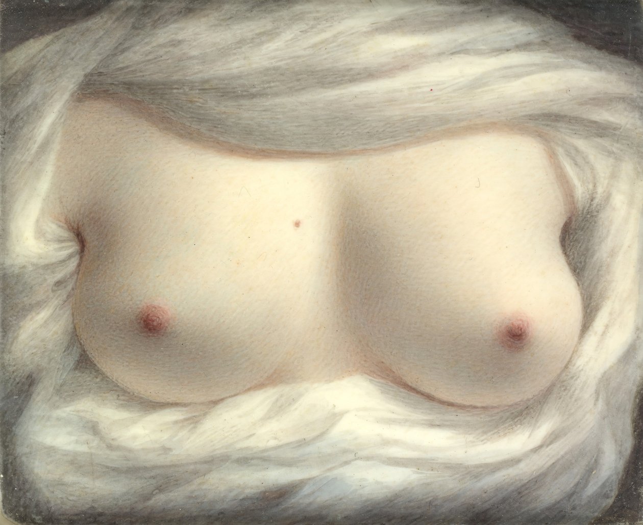 Schoonheid Onthuld, 1828 door Sarah Goodridge