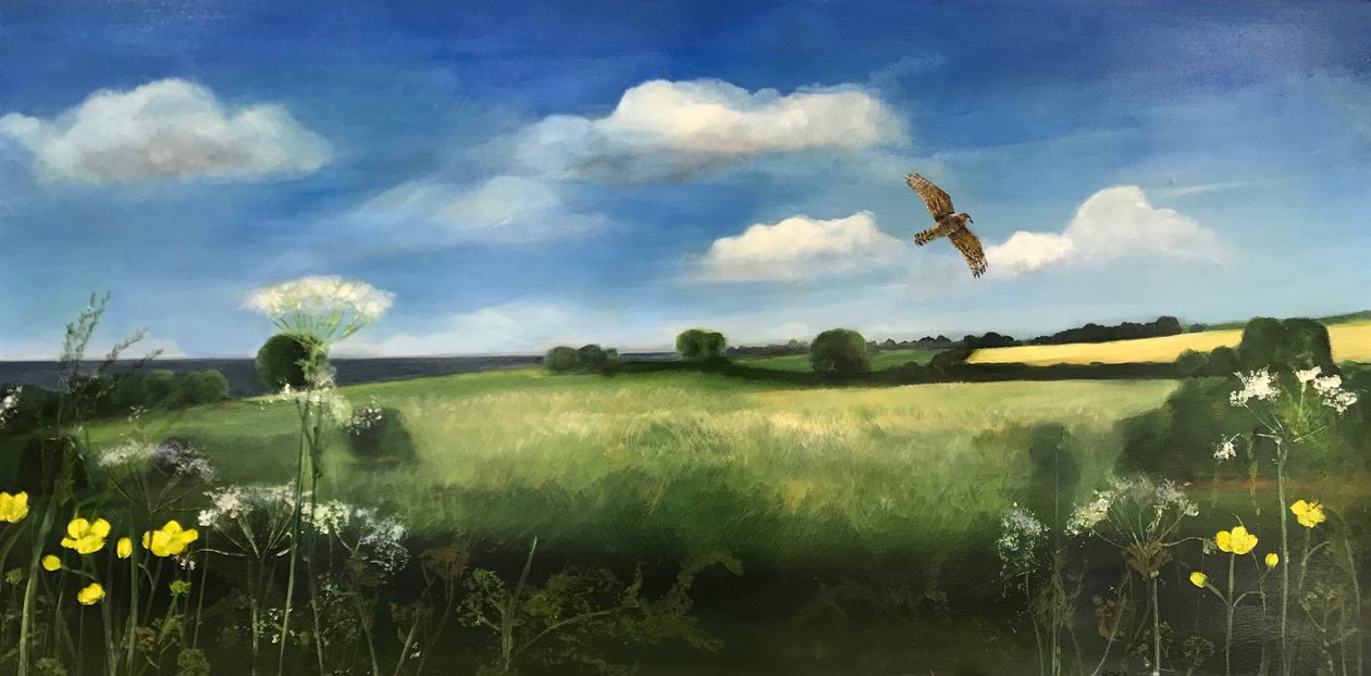 Buzzard, 2022 door Sarah Thompson Engels