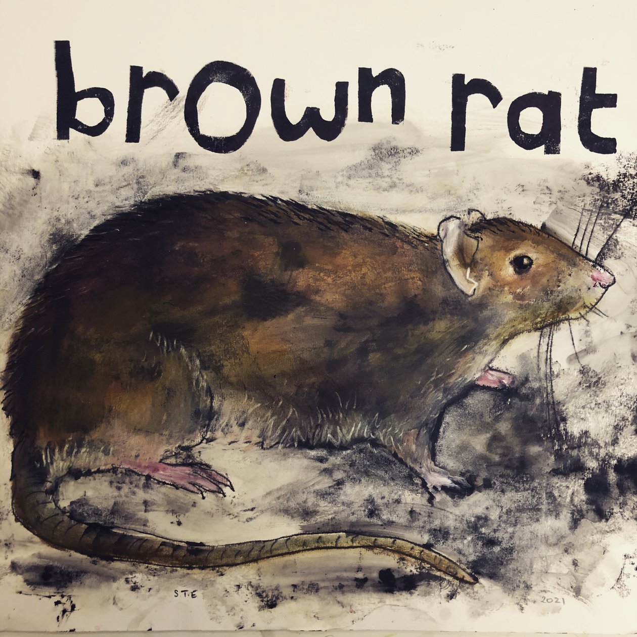 Bruine rat door Sarah Thompson Engels