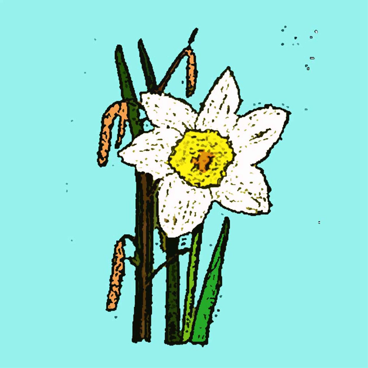 Narcissen, 2015 door Sarah Thompson Engels