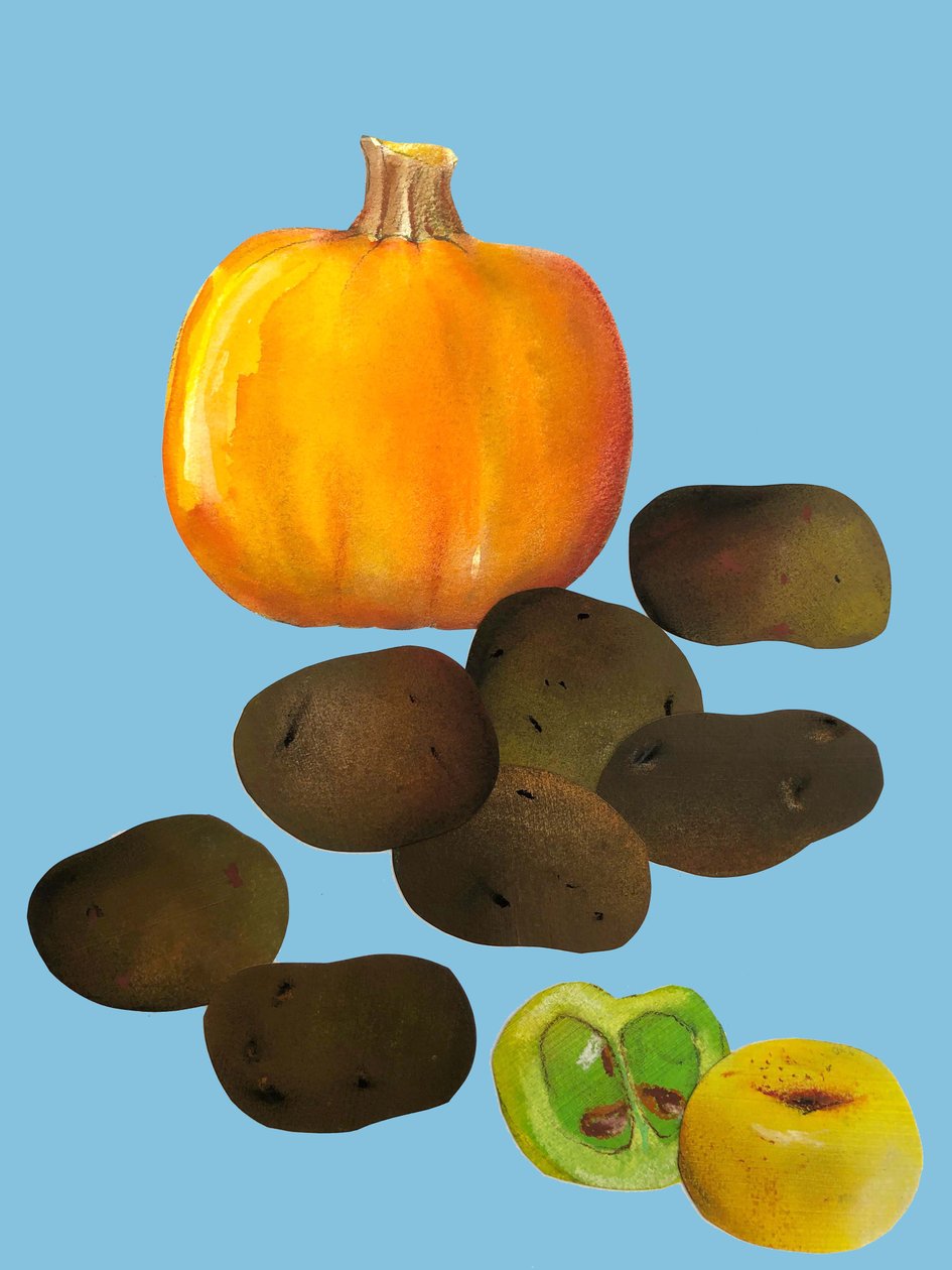 Fruit en groenten, 2020 door Sarah Thompson Engels