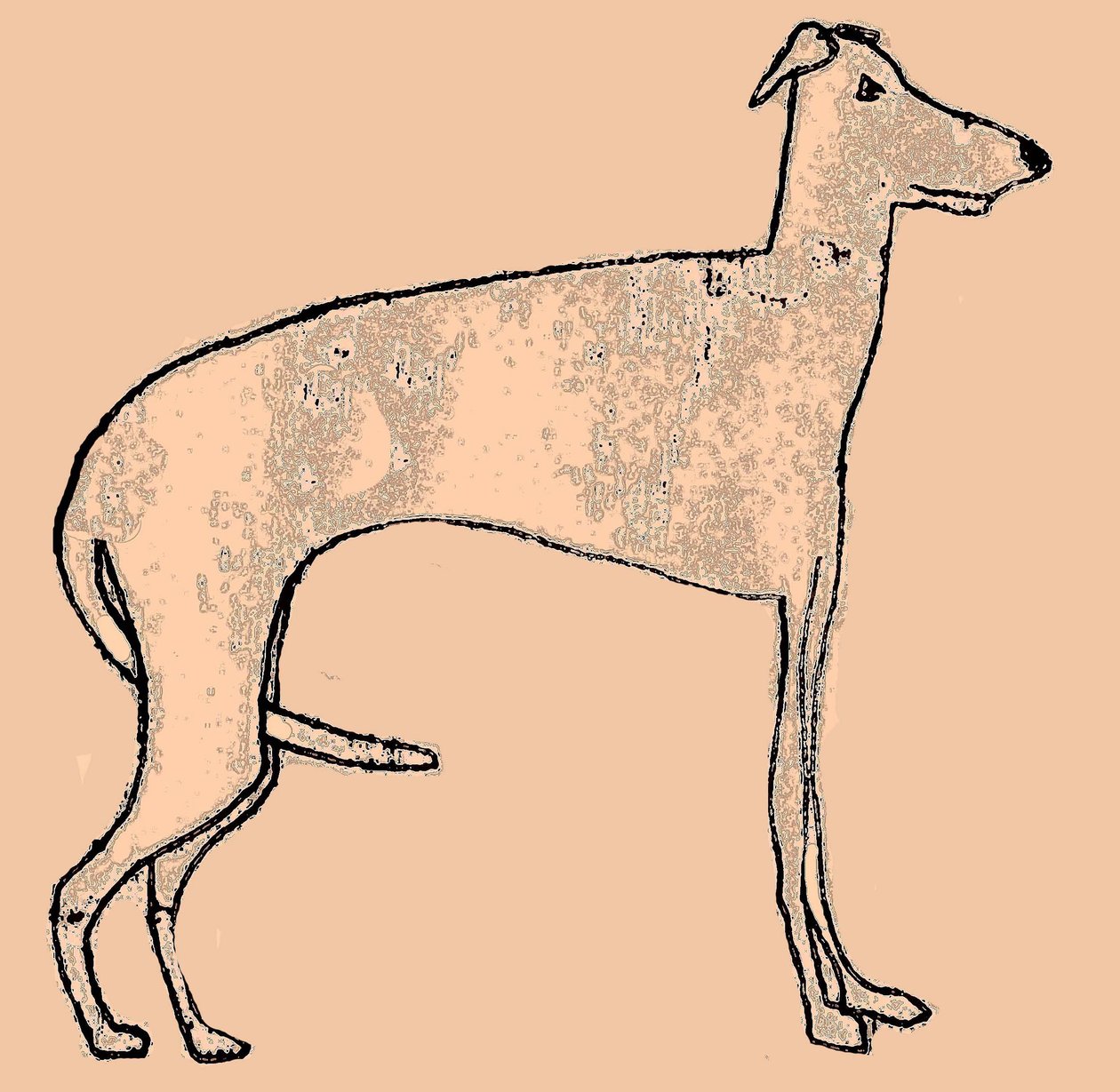 Magere hond door Sarah Thompson Engels
