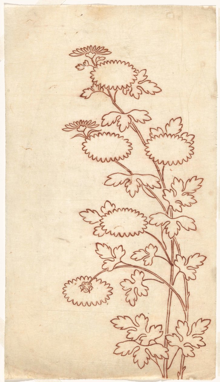 Chrysanten door Sasaya (workshop of)