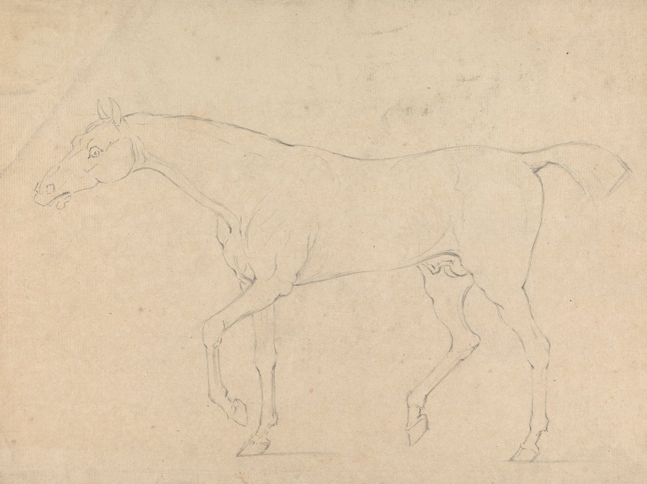Een paard door Sawrey Gilpin