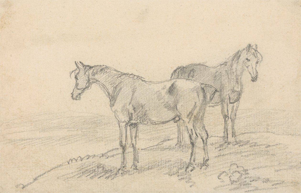 Twee paarden door Sawrey Gilpin