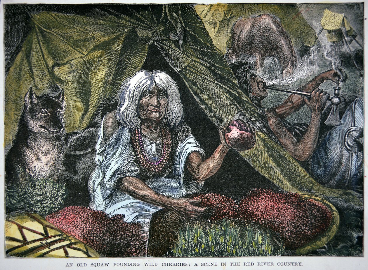 Inheems Amerikaans voedsel (gekleurde gravure) door School American