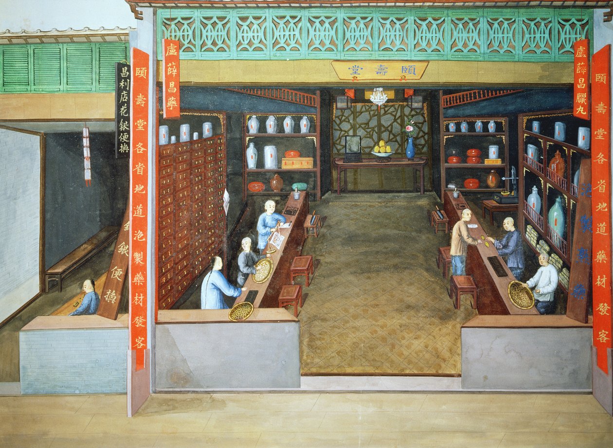 Chinese geneeskunde, ca. 1830 (gouache op papier) door School Chinese