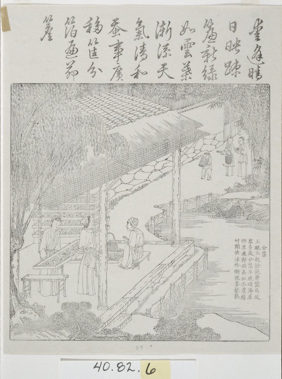 Set van houtsneden, Zijdecultuur door School Chinese