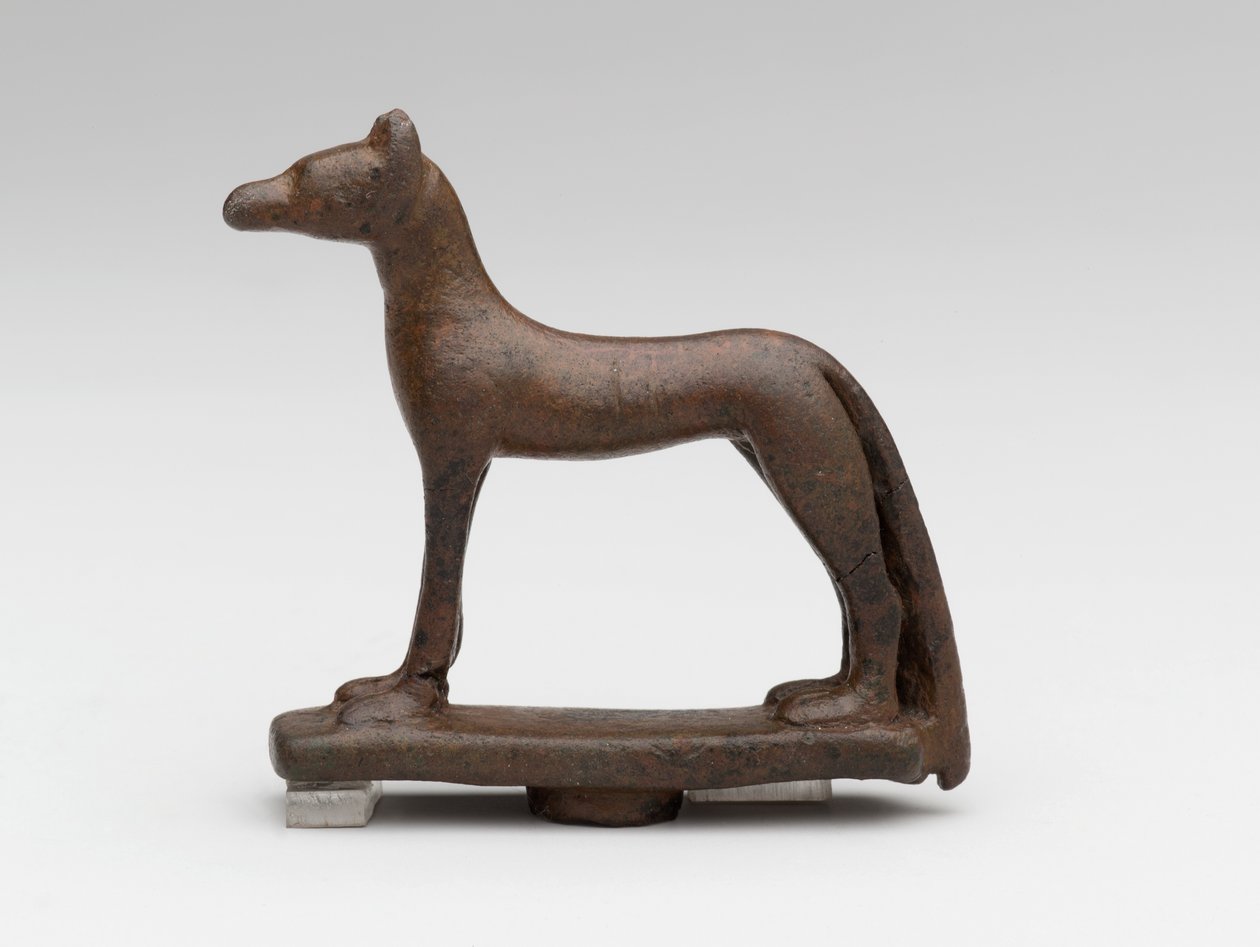 Jakhals of hond door School Egyptian