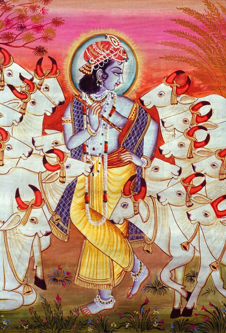 Heer Krishna en Koeien Miniatuurschilderij door School Indian