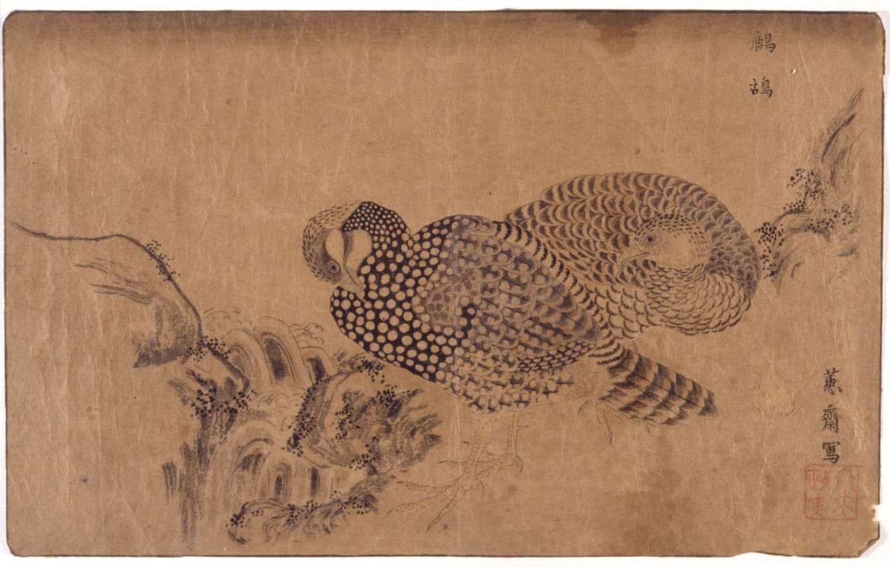 Twee Vogels door School Japanese