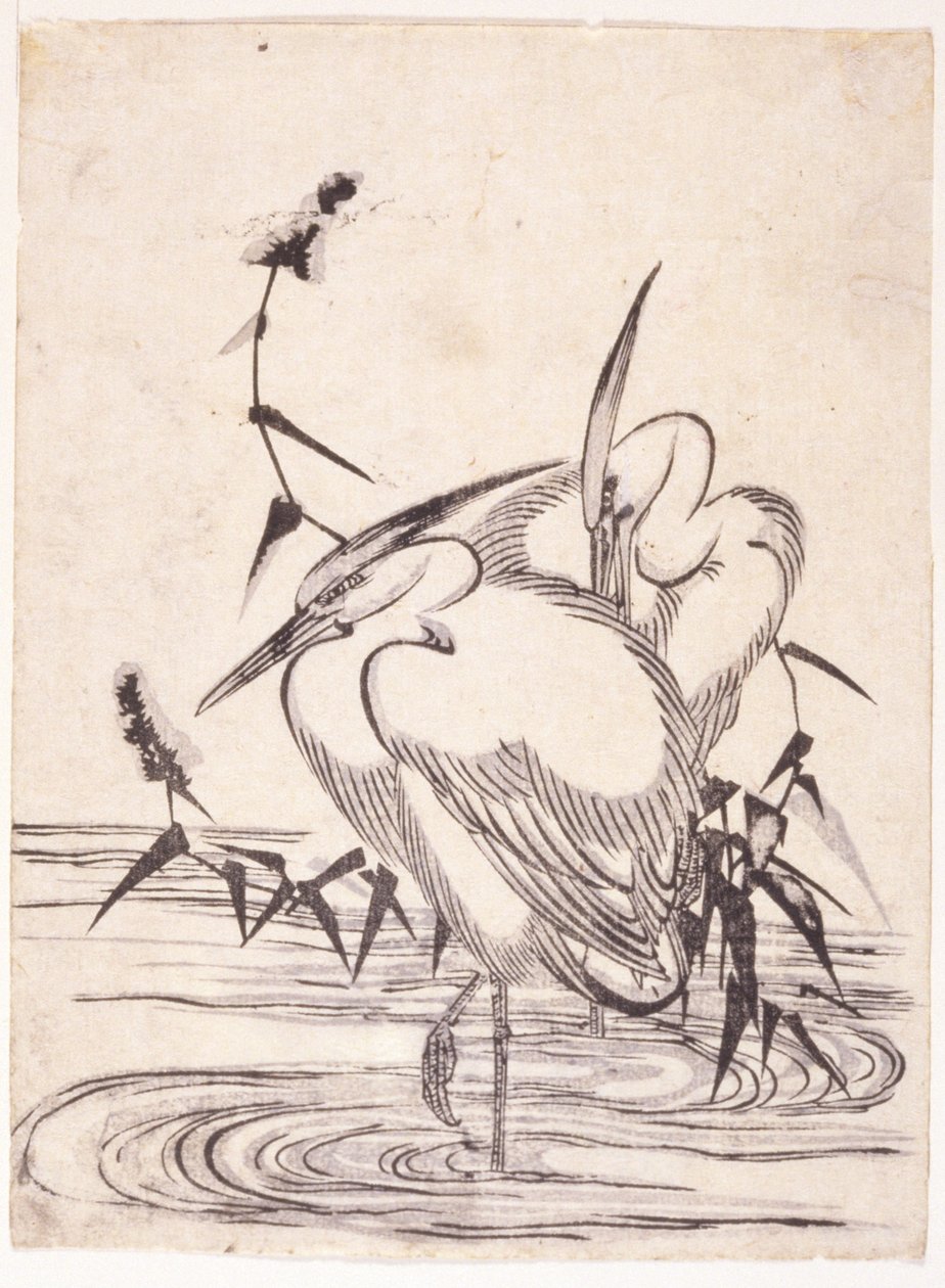 Twee reigers door School Japanese