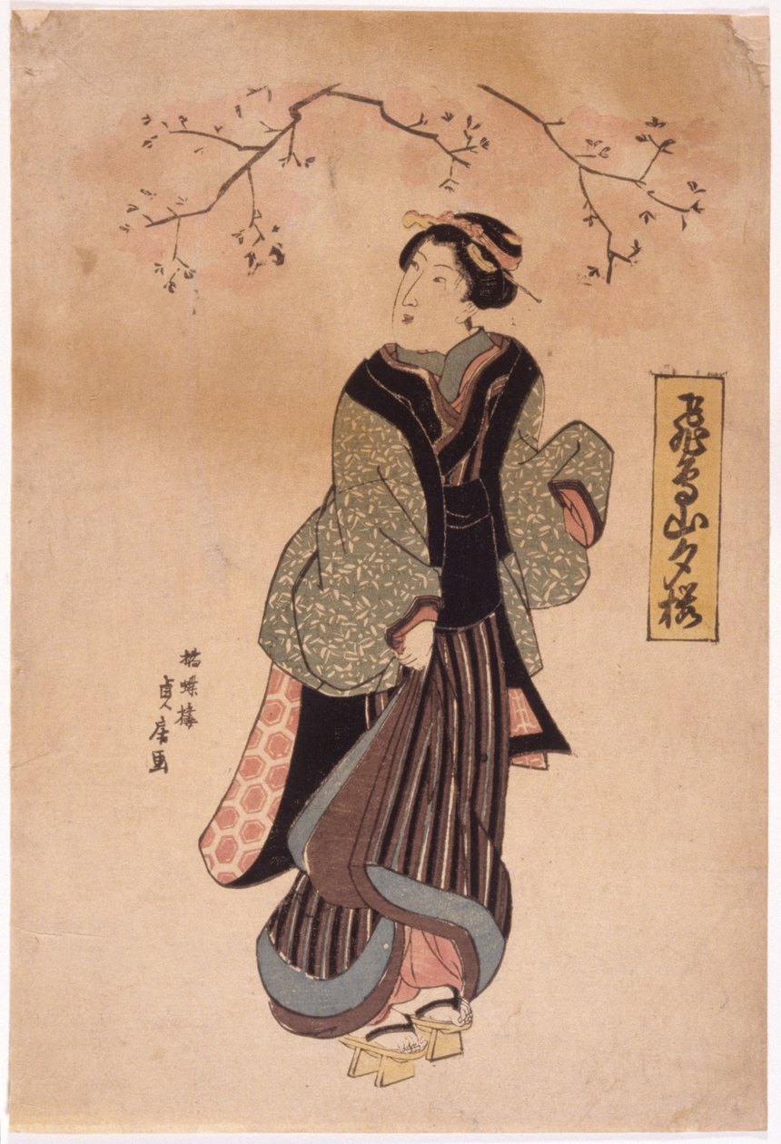 Kleur houtsnede door School Japanese