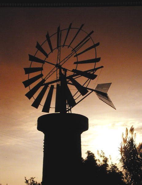 Windmolens op Es Pla, Palma door School Spanish