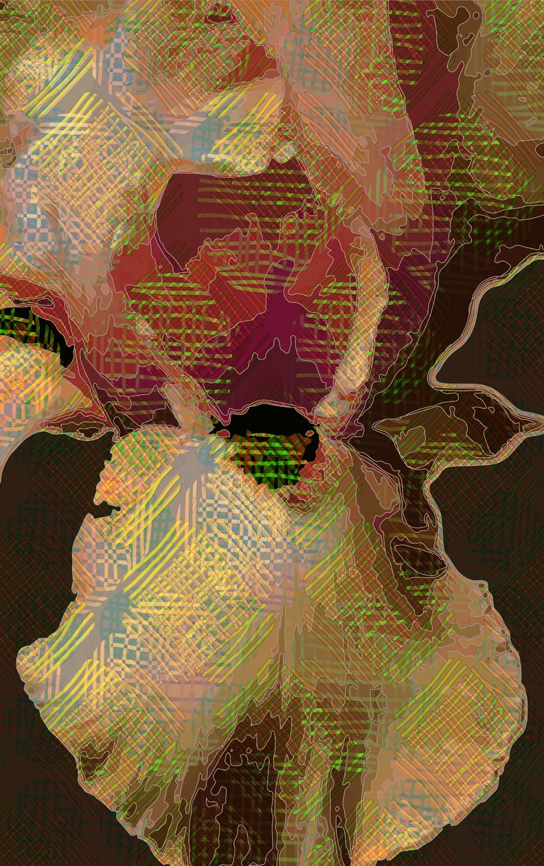 Baardiris door Scott J. Davis