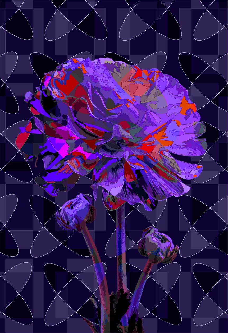 Anjer, 2019 door Scott J. Davis