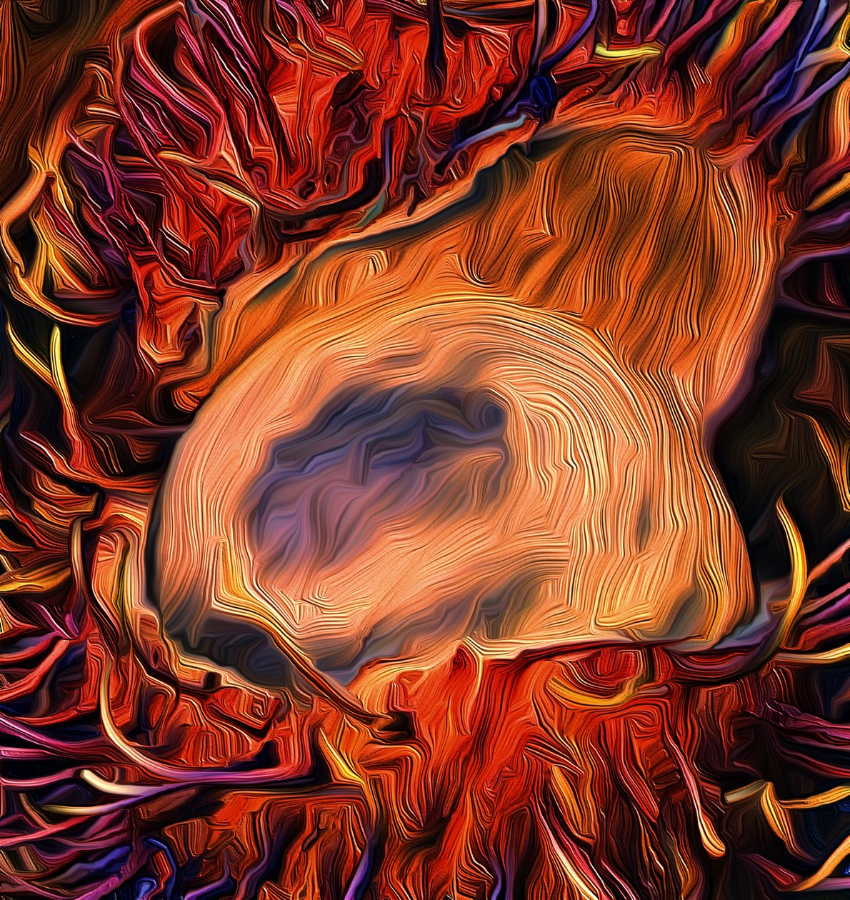 Orkaan, 2021 door Scott J. Davis