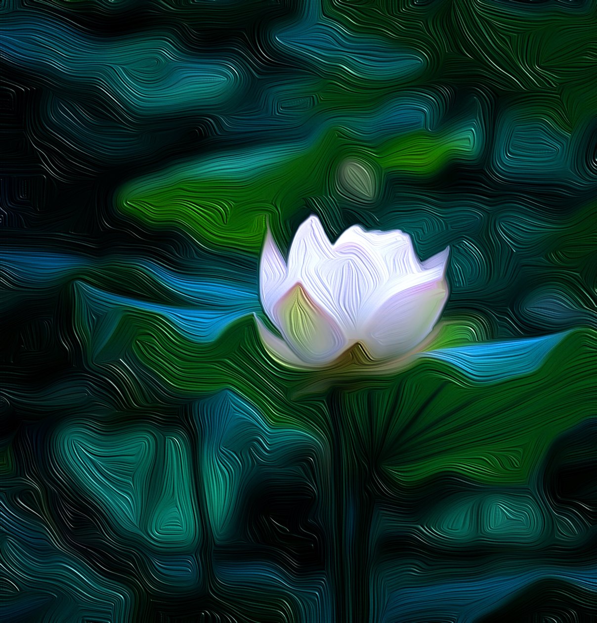 Witte Lelie door Scott J. Davis