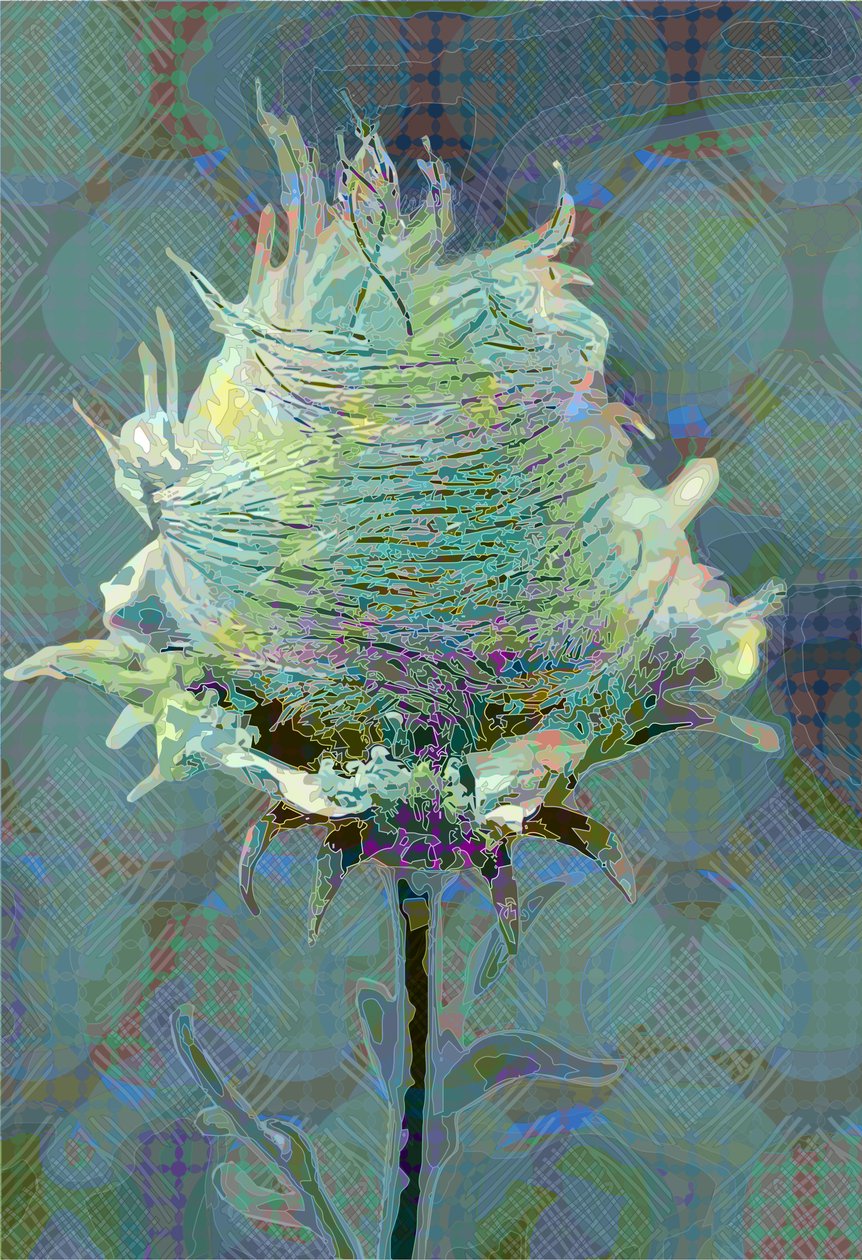 Hout Avens3, 2019 door Scott J. Davis