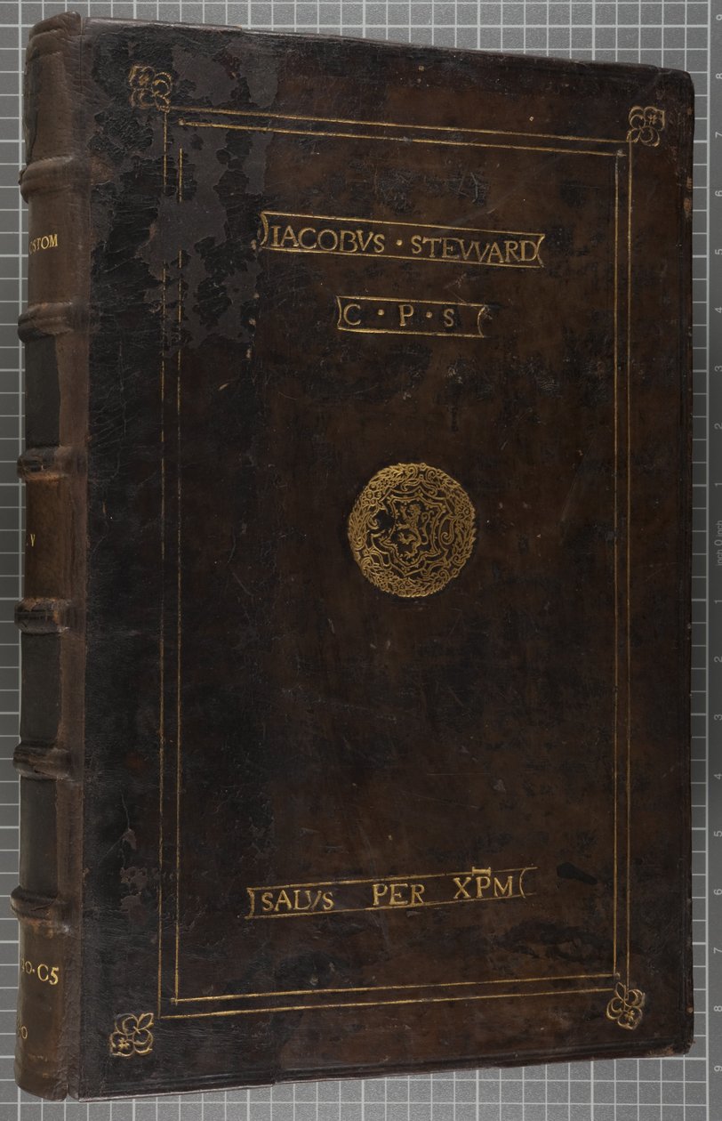 Jacobus Steward (leer) door Scottish School