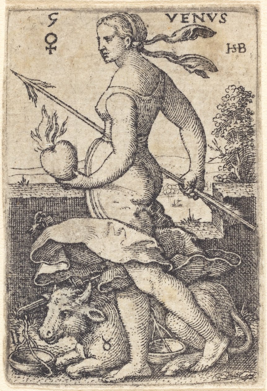 Venus door Sebald Beham