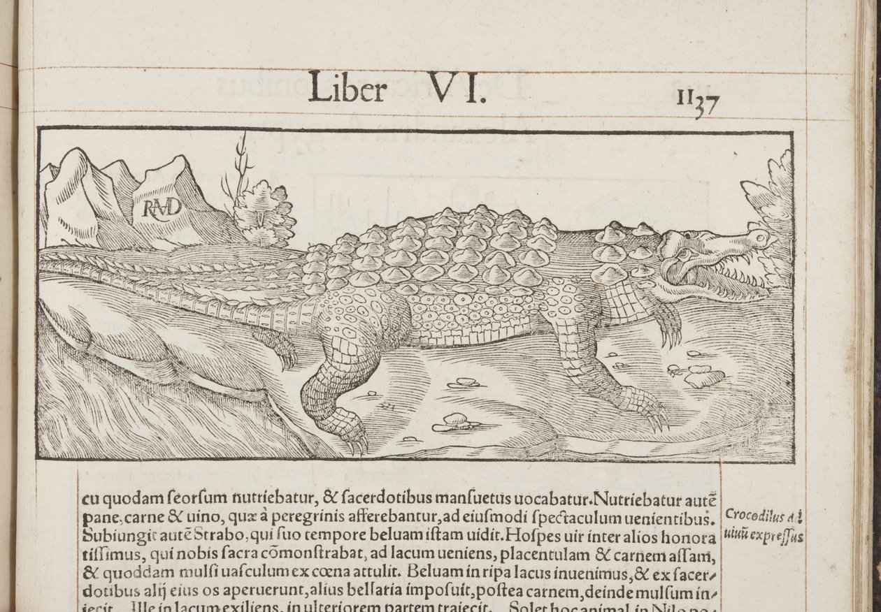 Cosmographia, Fol 1137, 1544 door Sebastian Munster