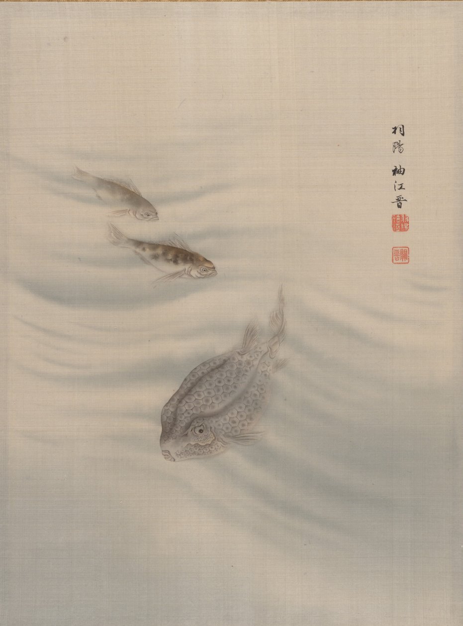 Vissen, ca. 1890-92 door Seki Shuko