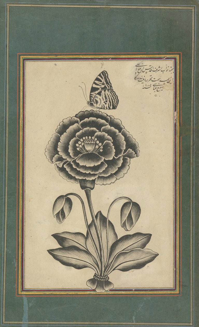 Bloem en een vlinder door Shafi