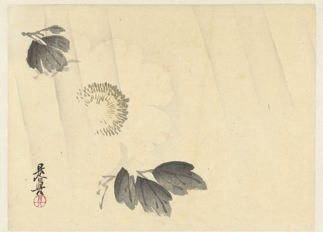 Witte pioenroos in de regen door Shibata Zeshin