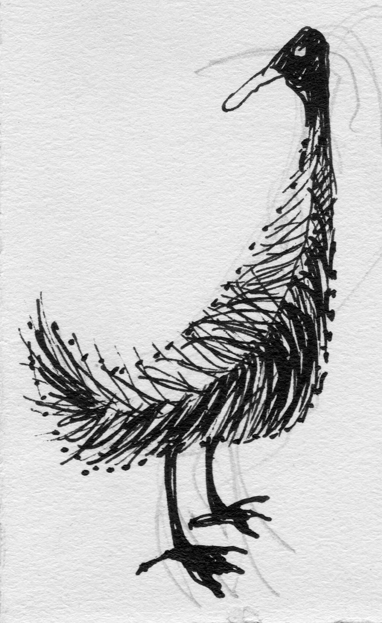 Vogel door Shirley Markham