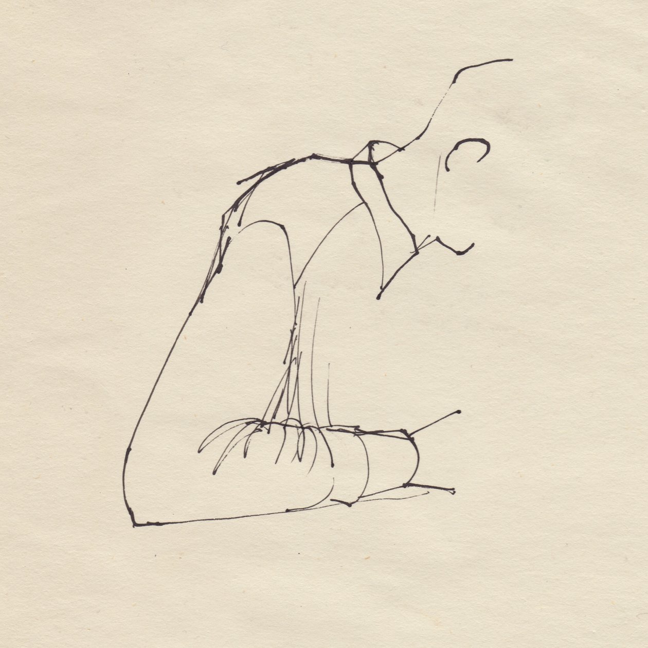 Mannenarm door Shirley Markham