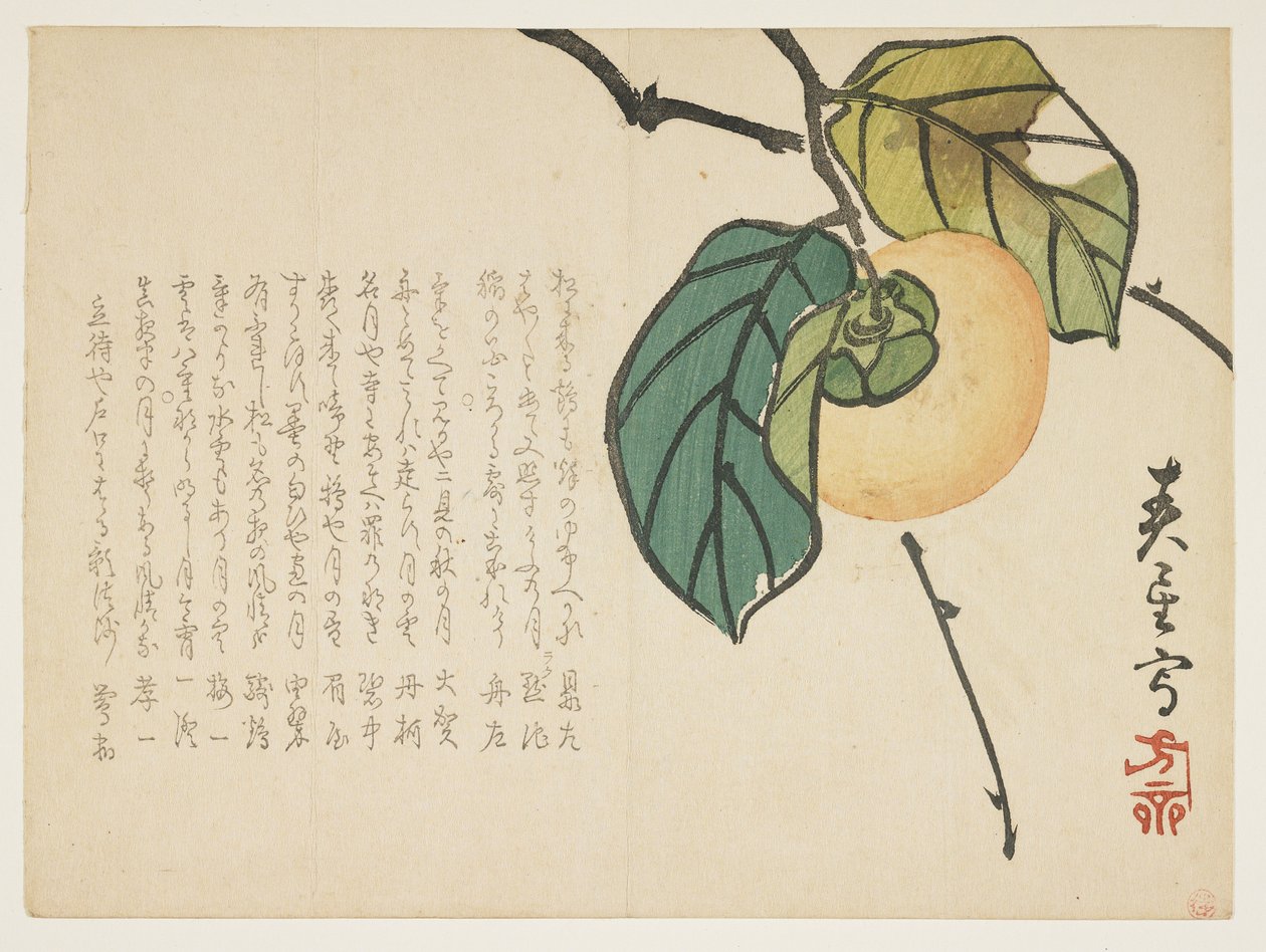Kaki door Shunsei
