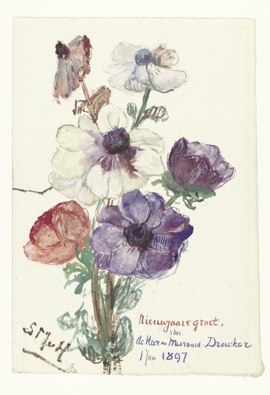 Nieuwjaarsgroet met anemonen door Sientje Mesdag van Houten
