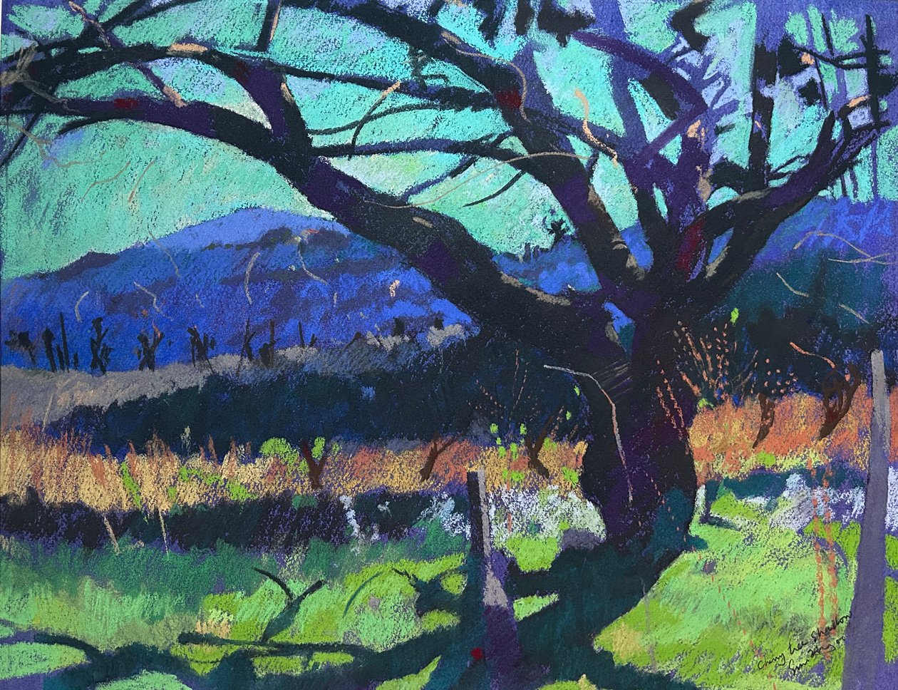 Kersenboom schaduw, 2000 (pastel) door Simon Fletcher