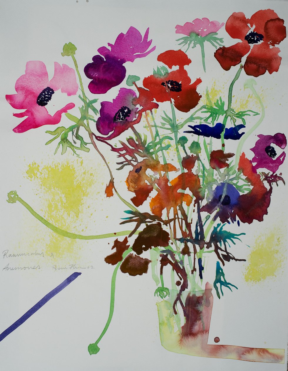 Ranonkels  anemonen, 2010 (aquarel) door Simon Fletcher