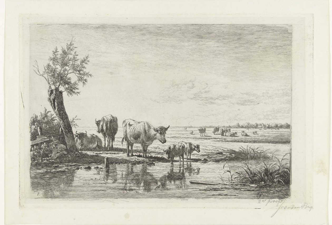 Weidelandschap met koeien bij water door Simon van den Berg