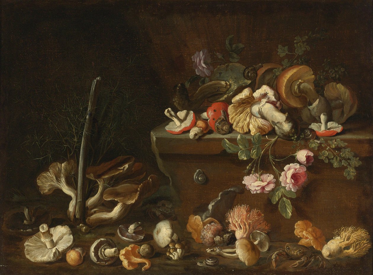 Stilleven met Paddenstoelen en Bloemen door Simone del Tintore