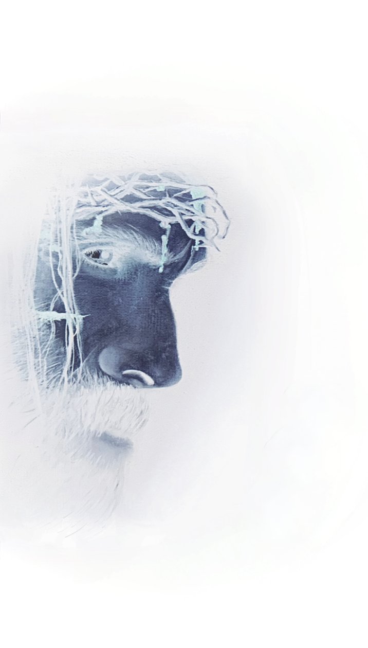 Jezus met doornenkroon door Simone Amon