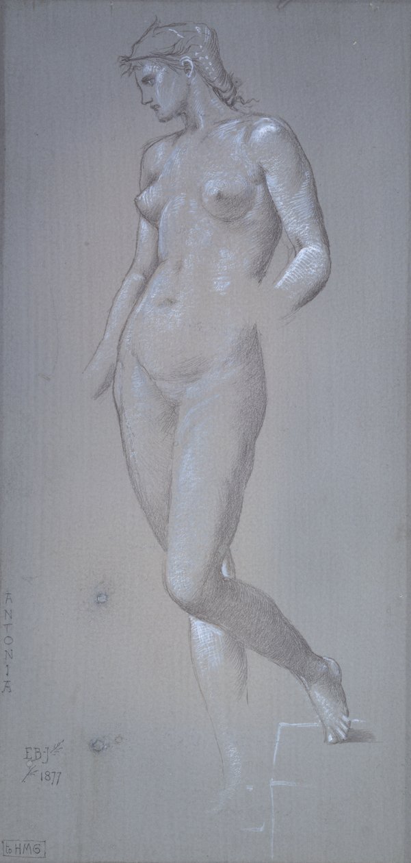 Antonia, 1877 door Sir Edward Coley Burne Jones