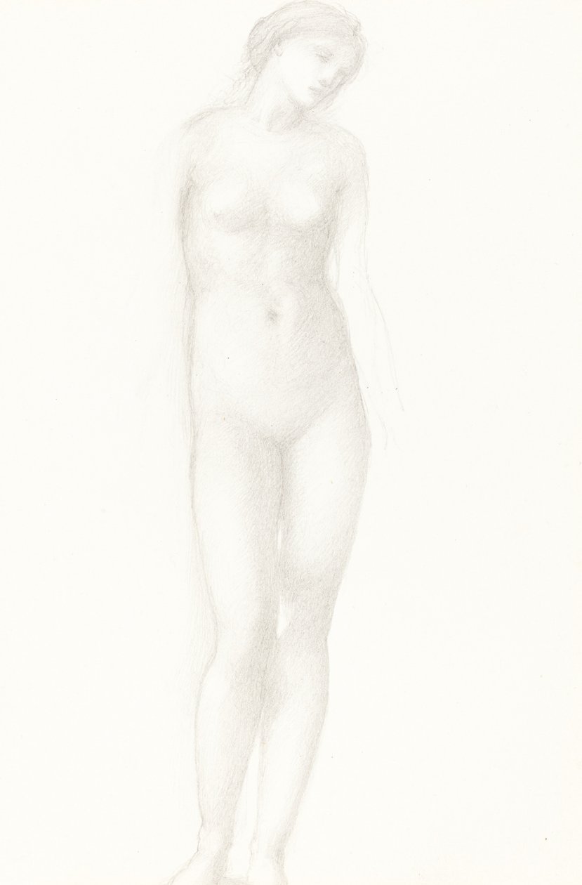 Venus door Sir Edward Coley Burne Jones