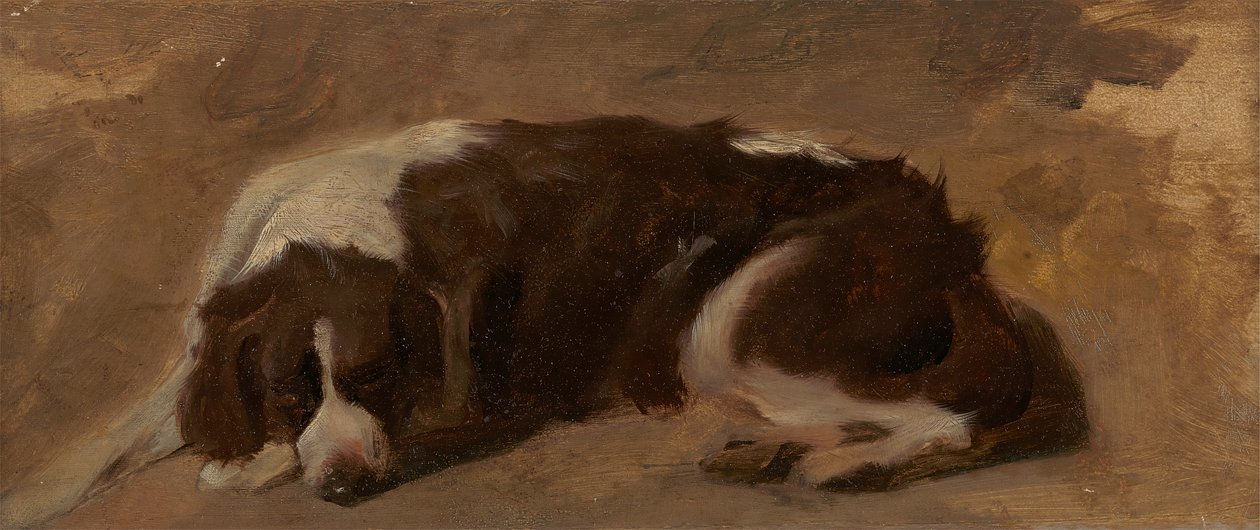 Een spaniël liggend door Sir Edwin Henry Landseer