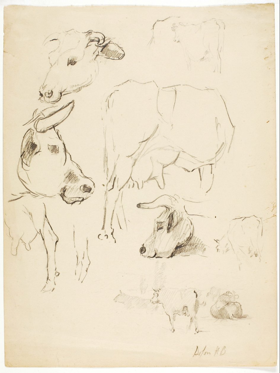 Cows door Solon H. Borglum